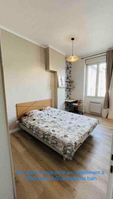 Appartement Renove Proche Du Parc De La Tete D'Or Villeurbanne Exteriör bild